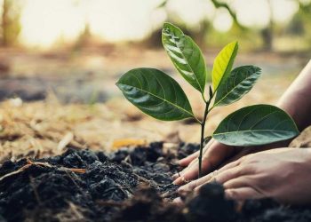 Building Climate Resilience in Rwanda: Biodiversity and Nature-Based Solutions