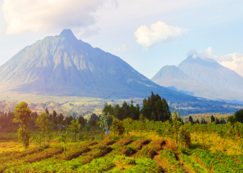 Top 10 Tourist Attractions in Rwanda: A Land of Wonder