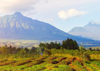 Top Things to Do in Rwanda: Unveiling the Land of a Thousand Hills