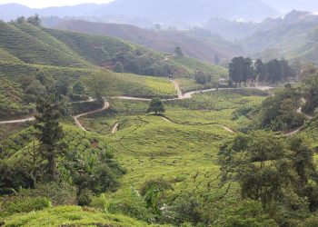 Car Safety Tips for Navigating Rwanda’s Mountainous Roads