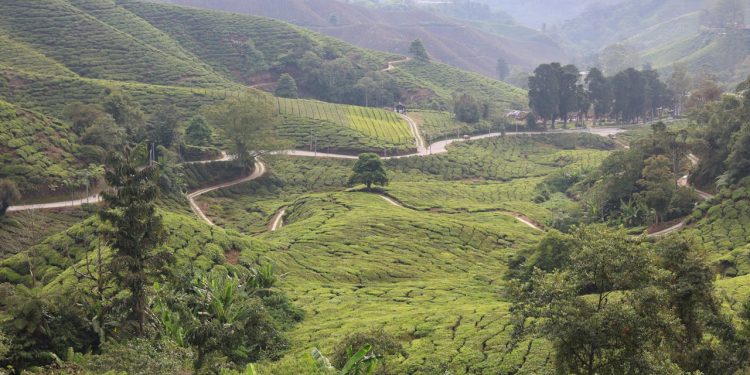 Car Safety Tips for Navigating Rwanda’s Mountainous Roads