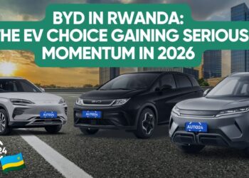 BYD Yuan Up, Dolphin, and SongPlus lined Up for a vehicle focus