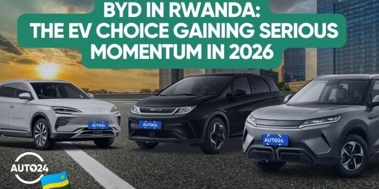 BYD Yuan Up, Dolphin, and SongPlus lined Up for a vehicle focus