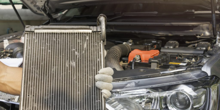 Radiator Maintenance for High-Altitude Drives Near Virunga